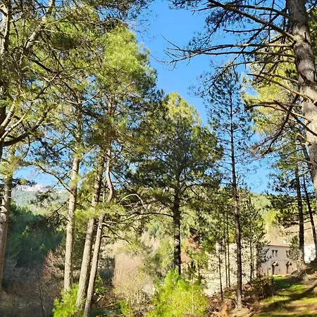 La Guijarrosena , Rio Madera
